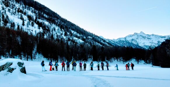 Alps and Trekking